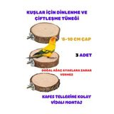 Canlipetshop Kuşlar Için Çiftleşme ve Dinlenme Tüneği Yuvarlak Vidalı Doğal Ahşap 3 Adet 8-10 cm Çap