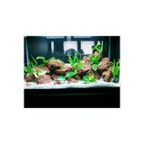 canlipetshop Lav Kayası Turuncu 6 Adet 15-20 Cm Akvaryum Dekoratif Kaya