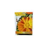 Canlipetshop Mixflor Çiçek Tohumu Nergis Çiçeği