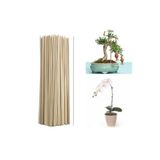 Canlipetshop Saksı Bitkileri Destek Çubuğu 40 Cm 50Ad