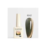 Canni 9 ml Cat Eye Kedi Gözü Kalıcı Oje Hema Free 8042