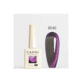 Canni 9 ml Cat Eye Kedi Gözü Kalıcı Oje Hema Free 8046