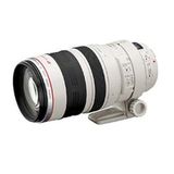 Canon EF 100-400mm f/4.5-5.6L IS USM Lens