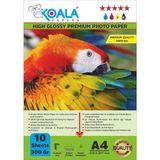 Canon GI-490 G3400 ile Uyumlu Premium Parlak Çift Taraflı Double Side A4 Fotoğraf Kağıdı 300 Gr. 10 Adet