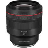 Canon RF 85 mm f/1.2L USM DS Lens