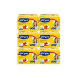 Canped Mesane Pedi Büyük Boy Large 10 Lu X 6 Adet