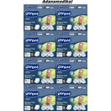 Canped Mesane Pedi Erkek Normal (12x8) 96'lı