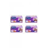 Canped Xs Hasta Bezi 120 Adet