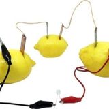 cansares Pil Yapma Deney Seti, Limon Pili Kimyasal Enerjiyle Elektrik Yapma Asitli Limon Ve Meyveden