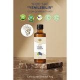Cansızzade %100 Saf Üzüm Çekirdeği Yağı - Soğuk Sıkım 250 Ml