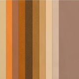 Canson 10'lu Kahve Tonlar 50x65 160 g Fon Kartonu