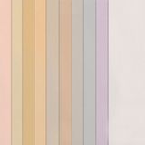 Canson 10'lu Pastel Tonlar 50x65 160 g Fon Kartonu