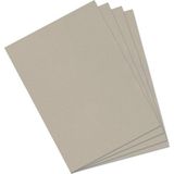 Canson Dokulu Mi-Teintes Sh Canmt 50x65 cm 160 gr Açık Grey 426 10'lu Fon Kartonu