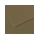 Canson Dokulu Mi-Teintes Sh Canmt 50x65 cm 160 gr Grn Zeytin Yeşili 191 10'lu Fon Kartonu