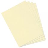 Canson Dokulu Mi-Teintes Sh Canmt 50x65 cm 160 gr Pastel Yelllow 407 10'lu Fon Kartonu