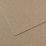 Canson Fon Karton (dokulu) Mı-teıntes Sh Canmt 50x65 160 Gr Grey 429