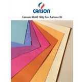 Canson Fon Kartonu (Dokulu) Mı-Teıntes 50x65 160 GR 104 Lılac 200321304-10-LI-PKT