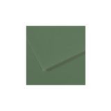 Canson Fon Kartonu Dokulu Mı-teıntes Sh Canmt 50x65 160 Gr Grn 10 Lu 190