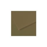 Canson Fon Kartonu Dokulu Mı-teıntes Sh Canmt 50x65 160 Gr Grn 10 Lu 191