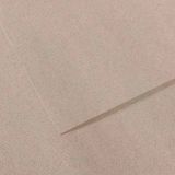 Canson Grey 426 Dokulu Mi Teintes Sh Canmt 50x65 CM 160 GR Fon Kartonu