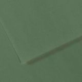Canson GRN 190 Dokulu Mi-Teintes Sh Canmt 50x65 CM 160 GR Fon Kartonu