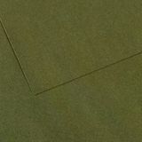 Canson GRN 448 Dokulu Mi-Teintes Sh Canmt 50x65 CM 160 GR Fon Kartonu