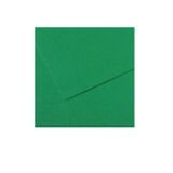 Canson Mi-Teıntes Dokulu Fon Kartonu Sh Canmt 50X65 160 Gram Green 575 31032S114 (10 Lu Paket)