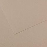 Canson No 122 Mi-Teintes 160 gr 50x65 cm Flannel Grey Pastel Kağıdı