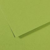 Canson Sh Canmt 50x65 CM 160 GR Pastel Dokulu GRN 475 10'lu Fon Kartonu