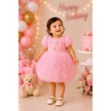 Cantoy Kız Bebek Kısa Fırfır Kollu Tütü Elbise, Pembe, Parti, Payetli, Nakışlı, Bebe Yaka (PEMBE, 12-18 AY)