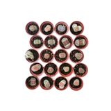 cantropikal Lithops 6 Farklı Yaşayan Taş Seti. Taş Kaktüs Sukulent Mesemb