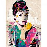 Canvas Hobby Audrey Hepburn Kasnaklı 40 x 50 cm Sayılarla Boyama Seti