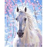 Canvas Hobby Canvas Işıltılı Orlov 40 x 50 cm Kasnaklı Sayılarla Boyama Seti