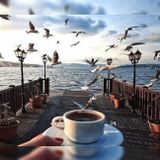 Canvas Hobby Canvas İstanbul Kahve Keyfi 40 x 50 cm Kasnaklı Sayılarla Boyama Seti