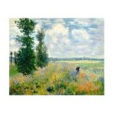 Canvas Hobby Canvas Monet Haşhaş Bahçesi 40 x 50 cm Kasnaklı Sayılarla Boyama Seti