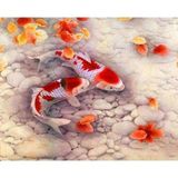 Canvas Hobby Japon Balıkları Kasnaklı 40x50 cm Sayılarla Boyama Seti