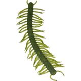 Çapari Av Silikon Kırkayak - Sunu Balık Yemi (11 Cm)