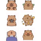 Capibara Sticker Telefon Laptop Notebook Tablet Defter Matara Stiker Etiket ST1769