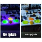 Capital Floresan Neon Pigment 4X10G Renk Set Epoksi Reçine Metal Ahşap Hobi Boyası