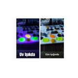 CAPİTAL KİMYA Floresan Neon Pigment Epoksi Reçine Polyester Metal Hobi Boyası Çok Renkli