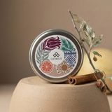 Cappadocia Iğde & Tarçın Yüksek Yayılımlı Buhurdanlık Kokusu Wax Melt - Odrius - Beyaz - 1 Adet