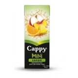 Cappy 200 ml Bahçe Karışık Meyve Nektarı (6 adet)