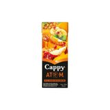 Cappy Atom Ballı Karışık Meyva 200