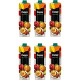 Cappy Bahçe Karışık Meyve Nektarı 1 Lt X 6 Adet