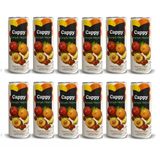 Cappy Karışık Meyve Nektarı 330 Ml X 12 Adet