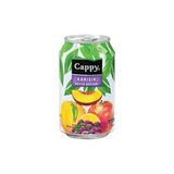 Cappy Karışık Meyve Nektarı Kutu Meyve Suyu 330 ml 12'li Koli