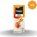 Cappy Kayısılı Meyve Nektarı 200 Ml - (3 Adet)