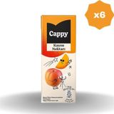 Cappy Kayısılı Meyve Nektarı 200 Ml - (6 Adet)