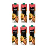 Cappy Şeftali Nektarı 1 Lt X 6 Adet
