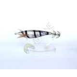 Captain 3015 Zokkaa Toto Squid 7 cm Color 02 Kalamar Zokası
